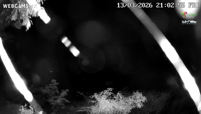 Rancho La Onza Nature Live Cam - San Luiz de la Paz, Guanajuato, Mexico