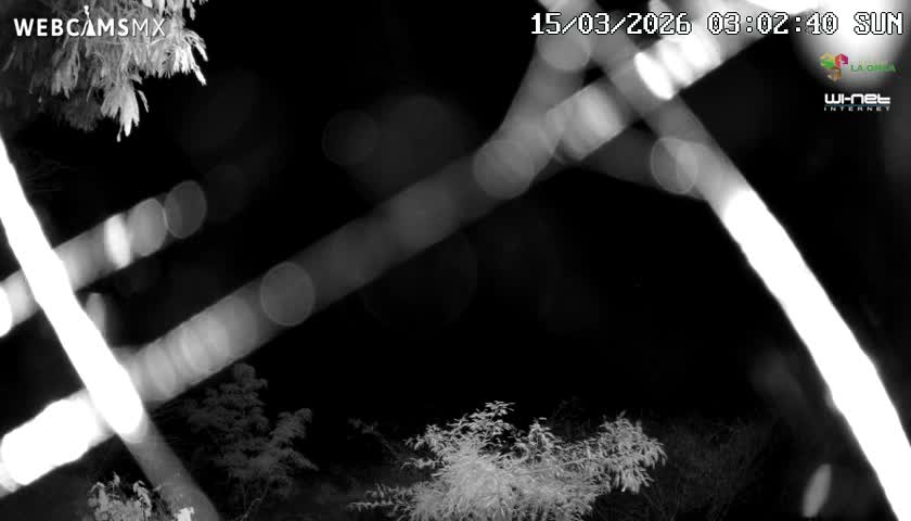 Rancho La Onza Nature Live Cam - San Luiz de la Paz, Guanajuato, Mexico