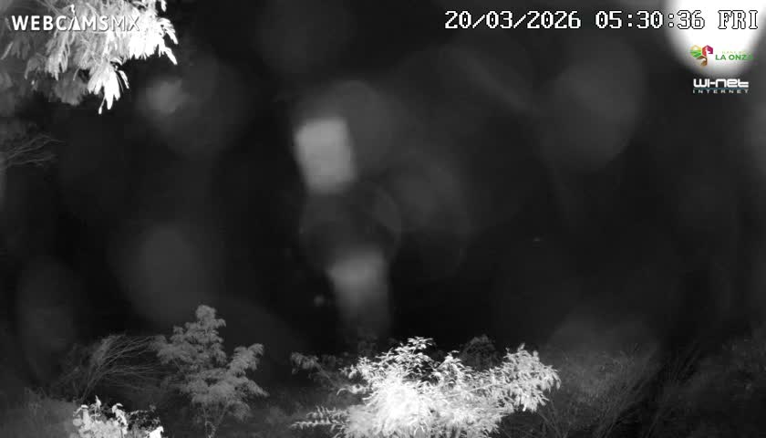 Rancho La Onza Nature Live Cam - San Luiz de la Paz, Guanajuato, Mexico