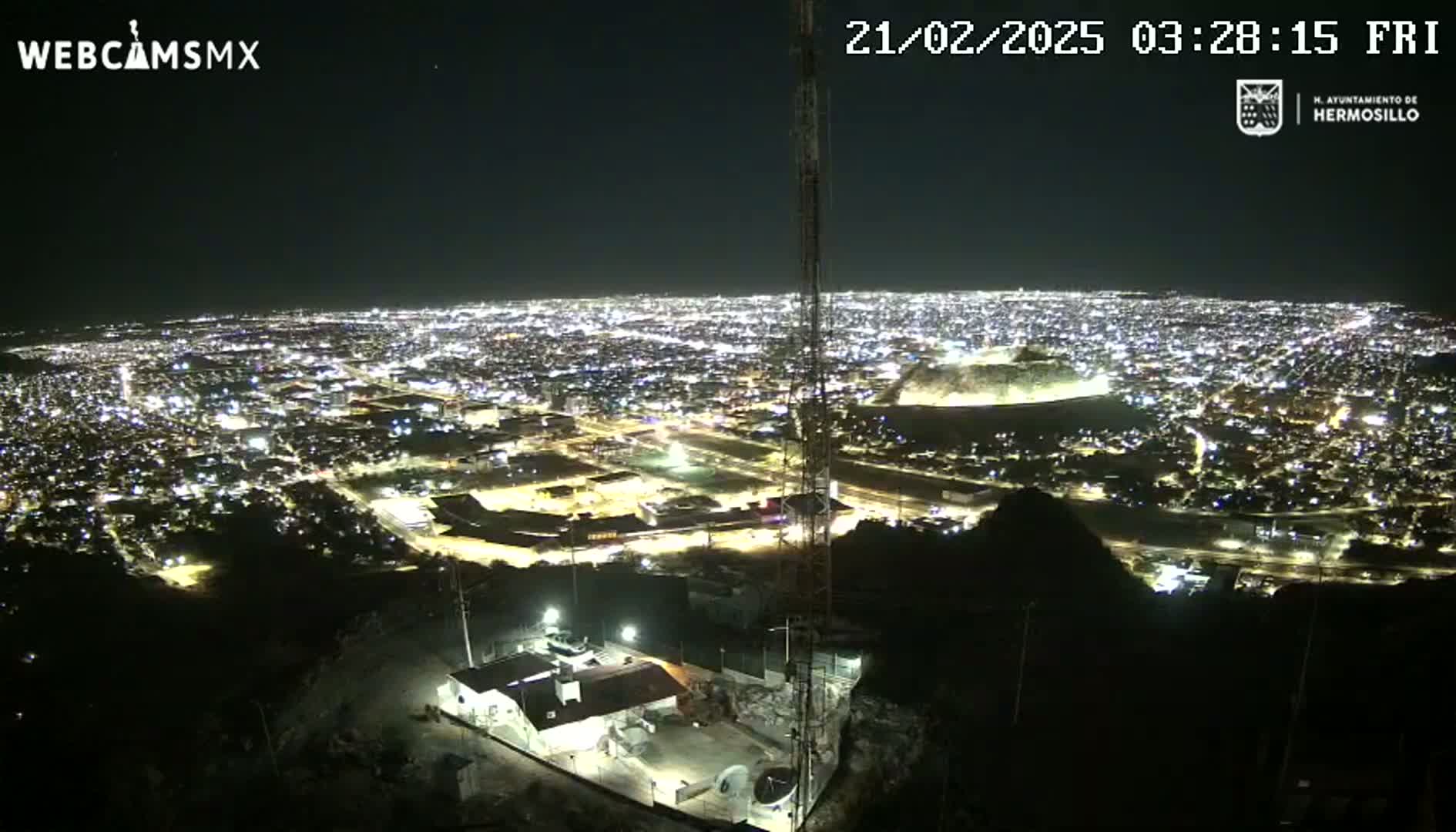 A nighttime, high-angle view shows a sprawling city illuminated by countless lights, observed from a vantage point on a hilltop.