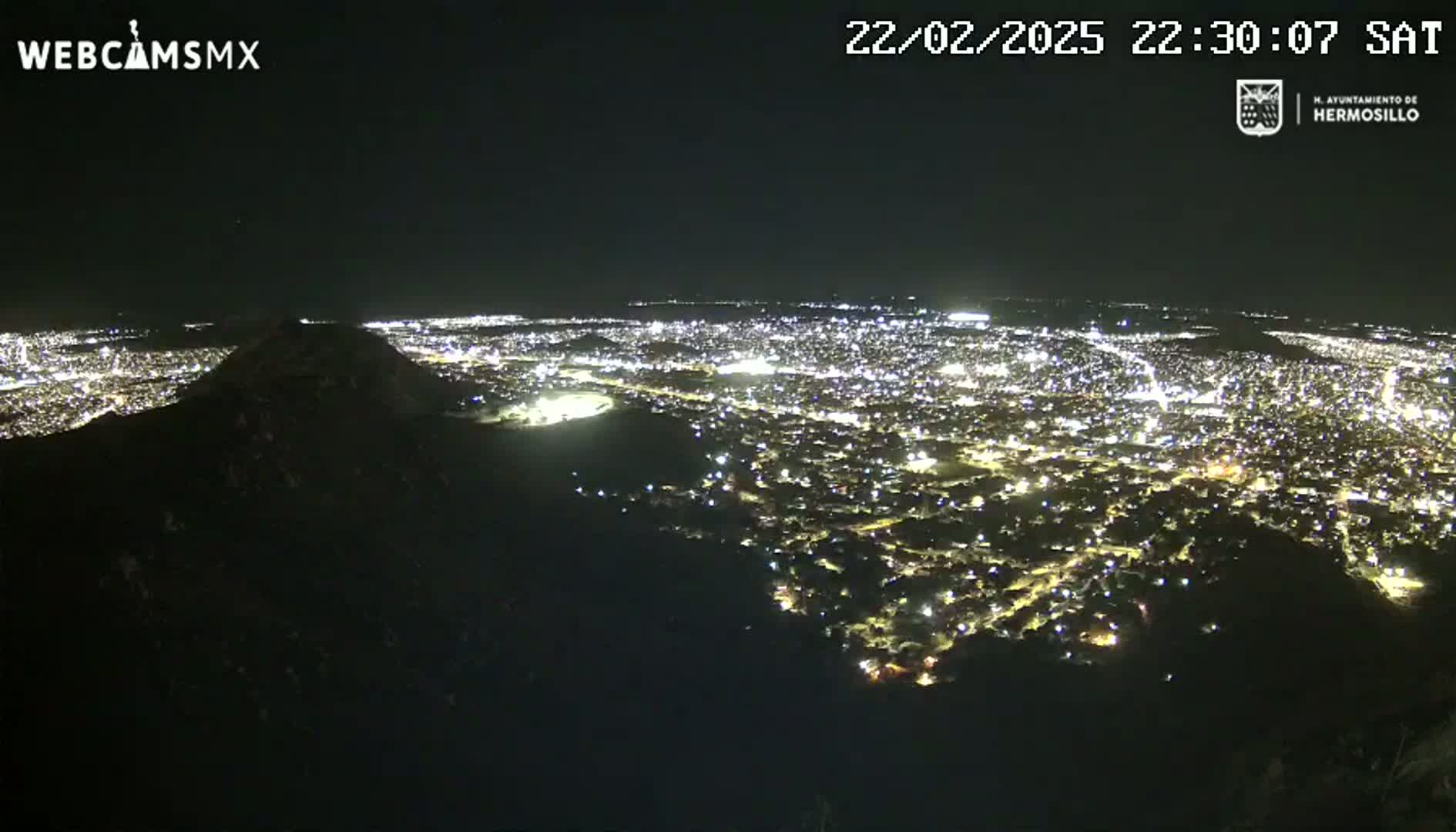 A nighttime view from a hilltop overlooking a sprawling city illuminated by countless lights.