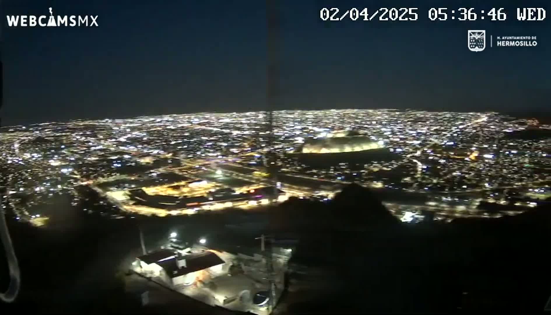 A nighttime, aerial view shows a sprawling city illuminated by countless lights, observed from a vantage point on a hill or mountain.