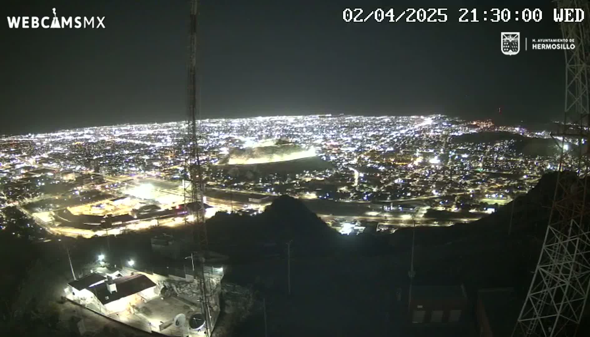 A nighttime, aerial view shows a sprawling city illuminated by countless lights, observed from a high vantage point on a hill.