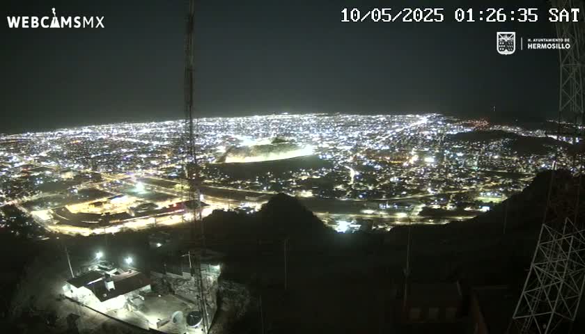 A nighttime view from a hilltop shows a sprawling city illuminated below, under a clear, dark sky.