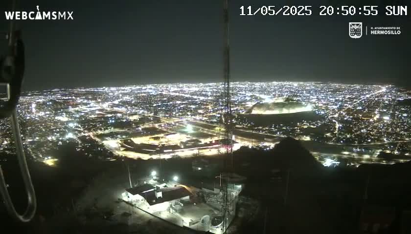 A nighttime, high-angle view shows a sprawling city illuminated by countless lights, extending to the horizon under a clear, dark sky.