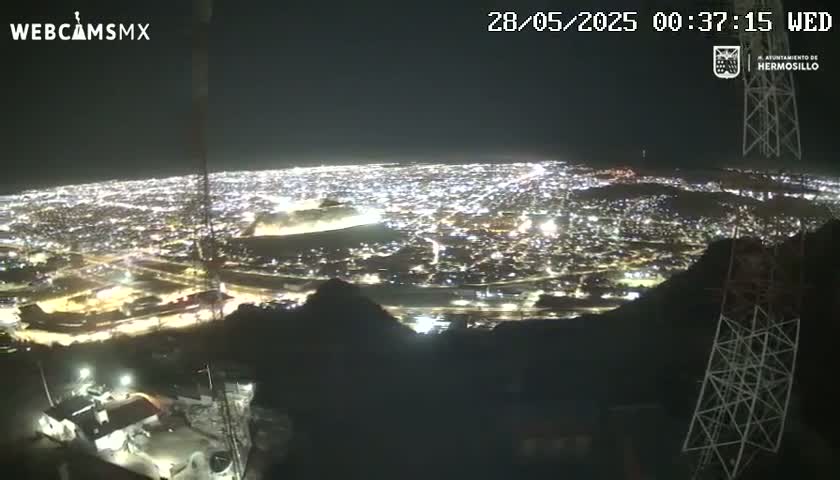 A nighttime, high-angle view shows a sprawling city illuminated by countless lights, seen from a mountaintop under a clear, dark sky.