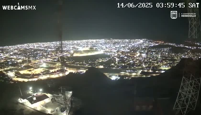 A nighttime, high-angle view of a sprawling city illuminated by countless lights, seen from a hilltop vantage point.