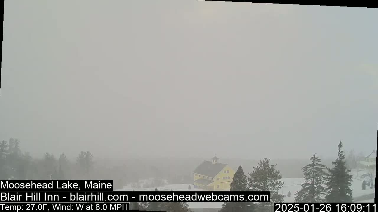 A yellow building is partially visible through heavy snow in a blurry landscape.