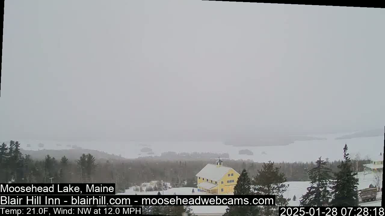 A snowy, overcast view of a lake and snow-covered trees, with a yellow building visible in the foreground.