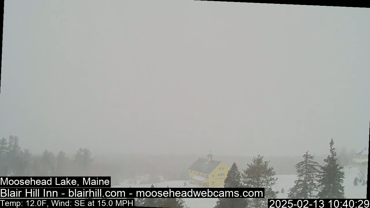 A yellow building is partially visible through heavy snow in a landscape of evergreens under a gray sky.