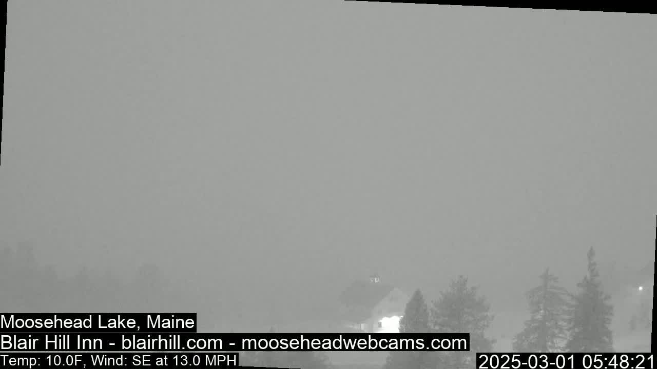 A hazy, snowy scene with a 10°F temperature and a 13 mph southeast wind shows some trees and a building in the distance.