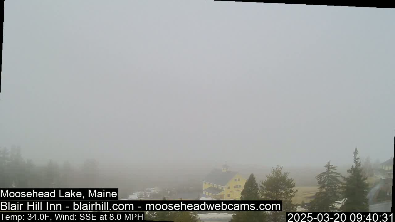 A foggy landscape reveals a yellow building and evergreen trees in the distance.
