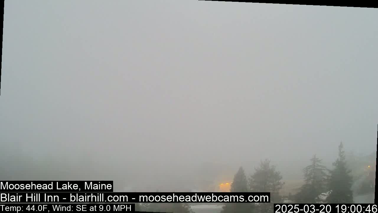 A foggy scene shows a few evergreens in the lower right, partially obscured by dense fog.