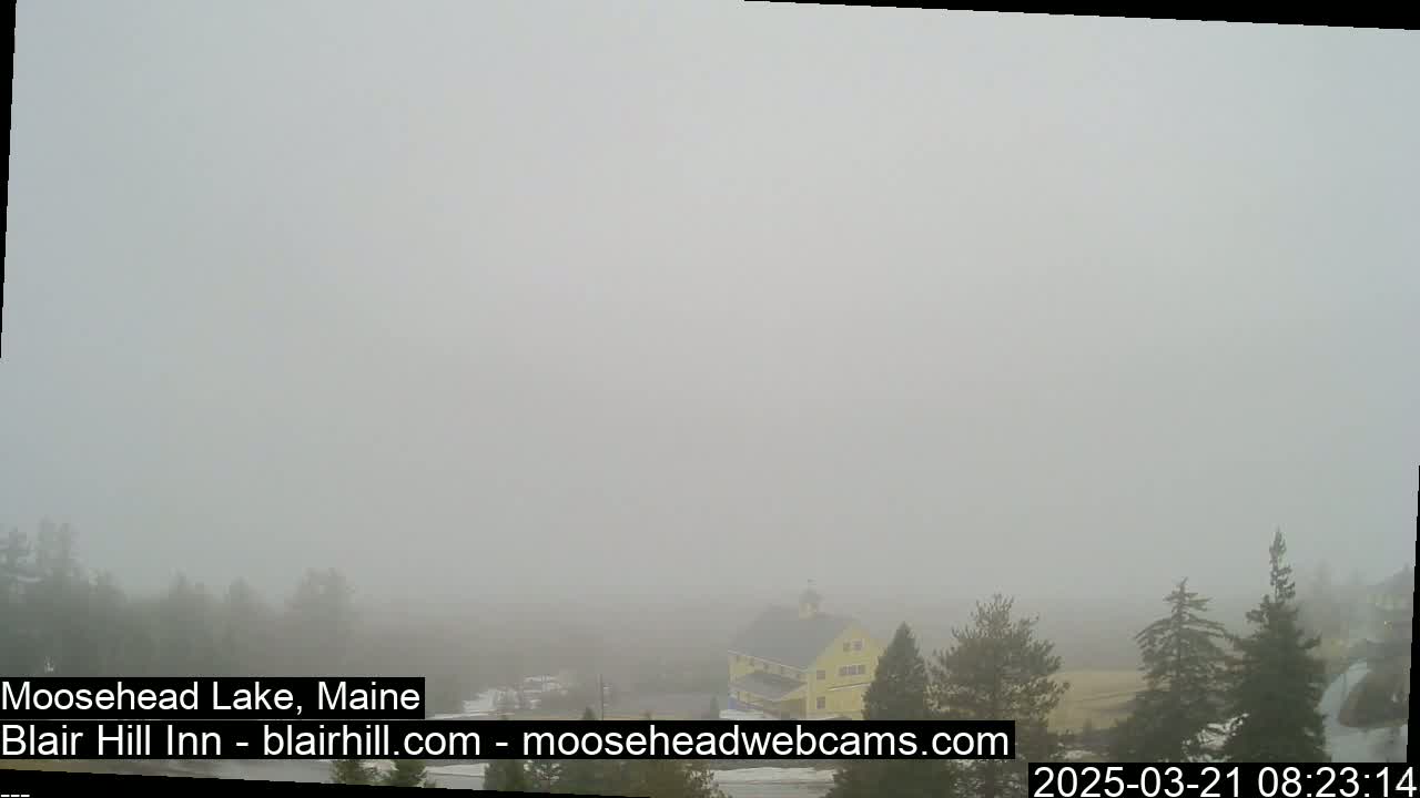 A thick fog obscures a view of a yellow building and surrounding trees.
