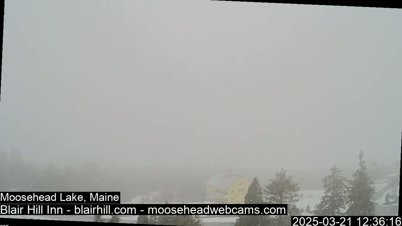 A heavy fog obscures the view of a yellow building and snow-covered trees.