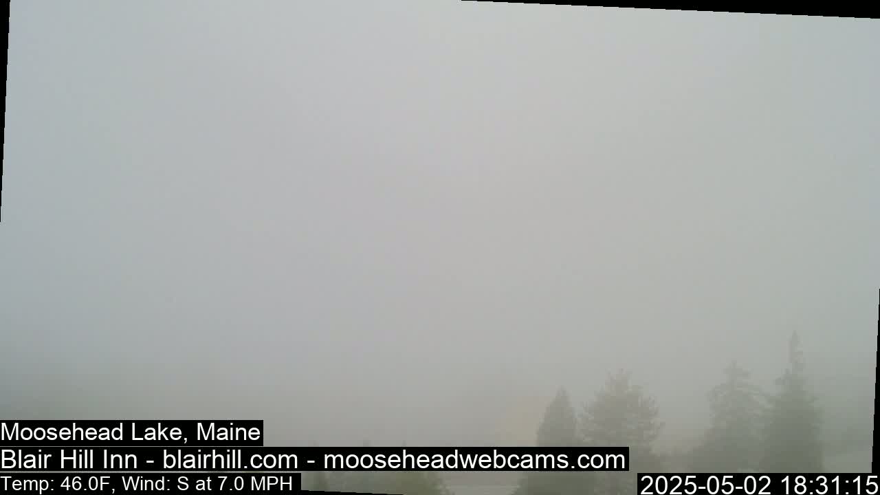 A foggy landscape shows a few indistinct dark trees in the distance.