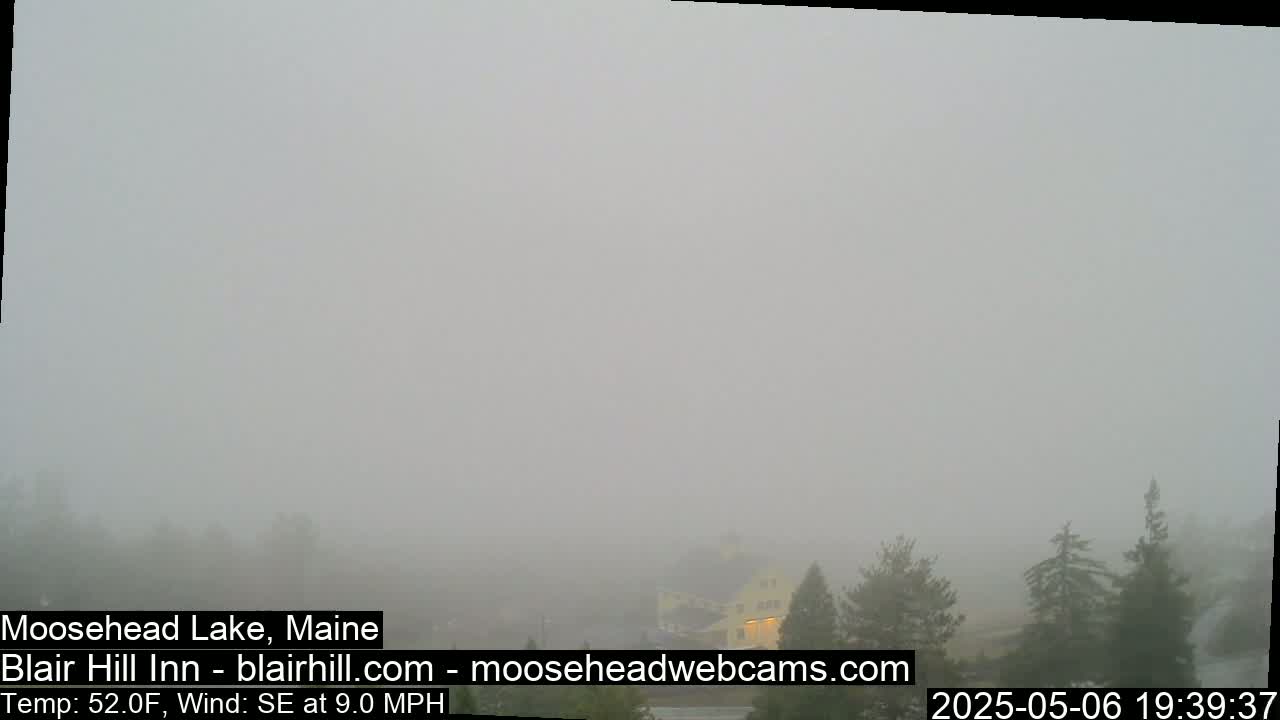 A foggy landscape shows a few trees and the top of a building in the distance.