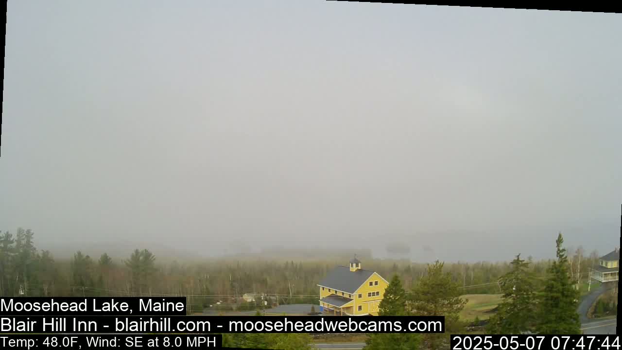 A foggy view of a lake and trees, with a yellow building visible in the foreground.