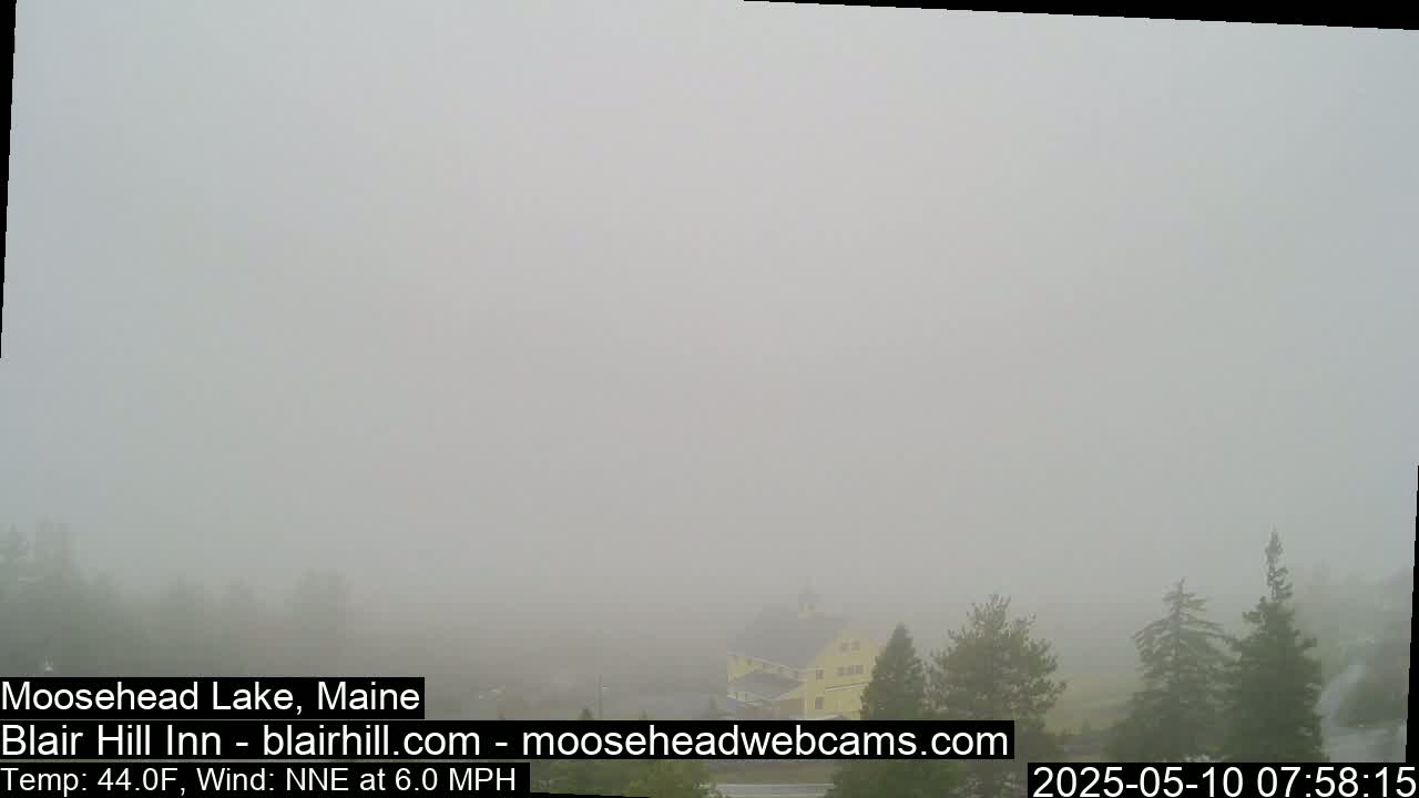 A foggy landscape is visible, with some trees and a building barely discernible in the distance.