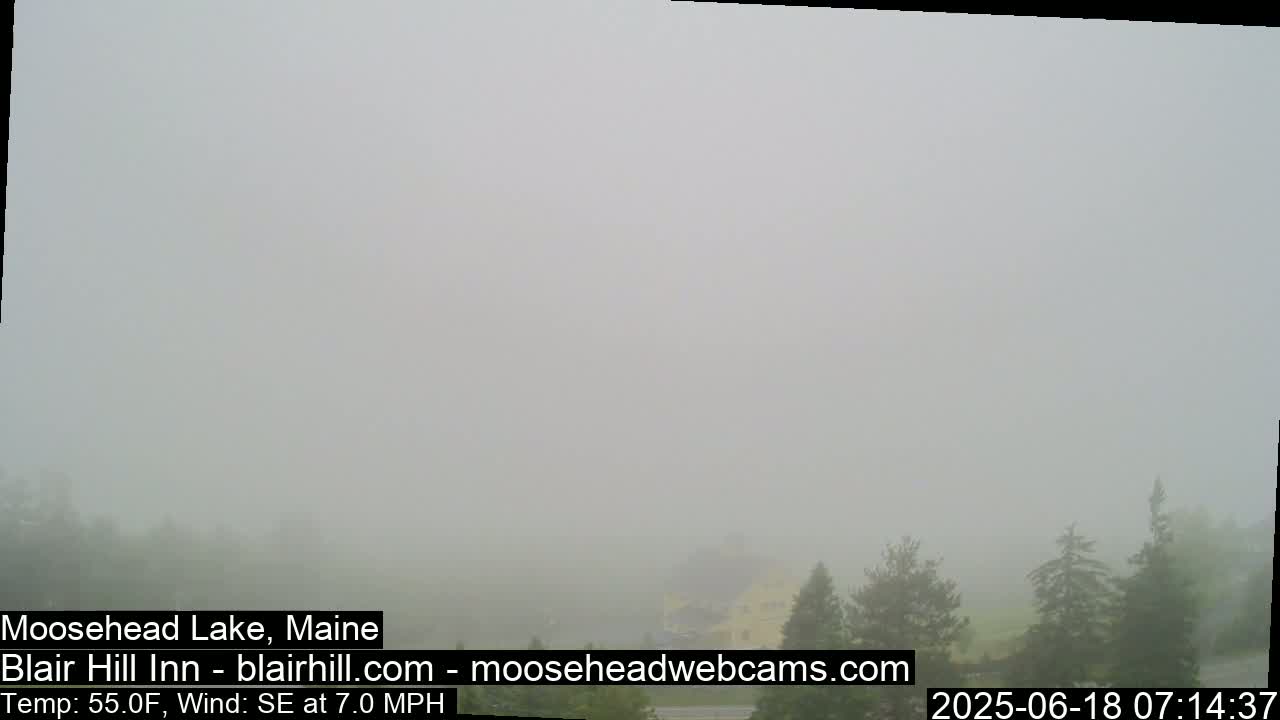 A foggy landscape shows a few distant trees and a hint of a building under a thick, gray fog.