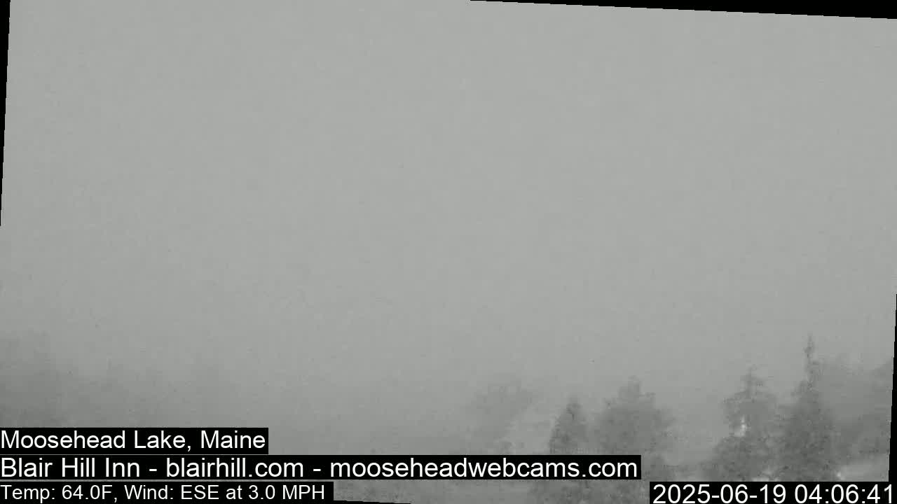 A hazy, gray scene shows a line of trees in the distance under a foggy sky.