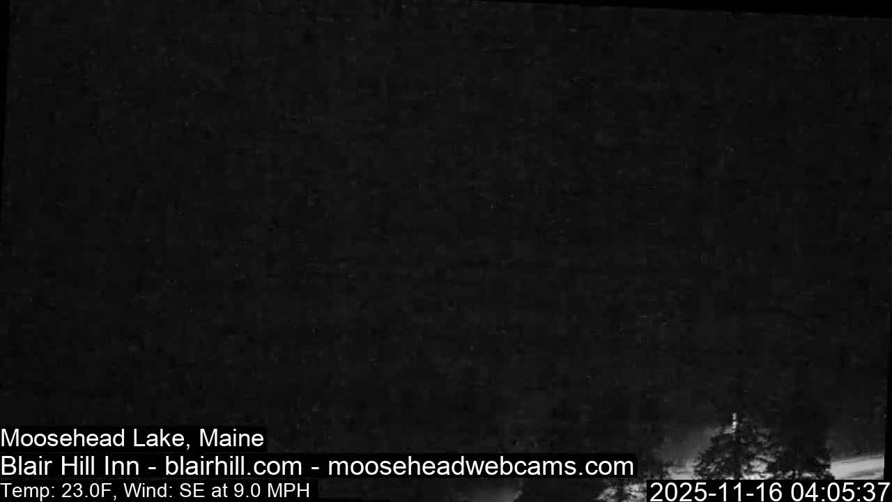 An extremely dark, almost entirely black outdoor night scene reveals only faint, shadowy shapes of trees in the lower right corner, with no other discernible weather conditions.