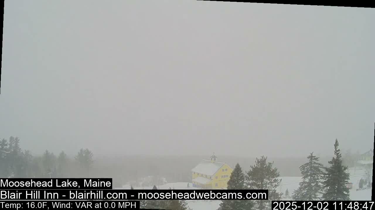 A snow-covered landscape featuring evergreen trees and a yellow building appears hazy or foggy under overcast winter conditions.