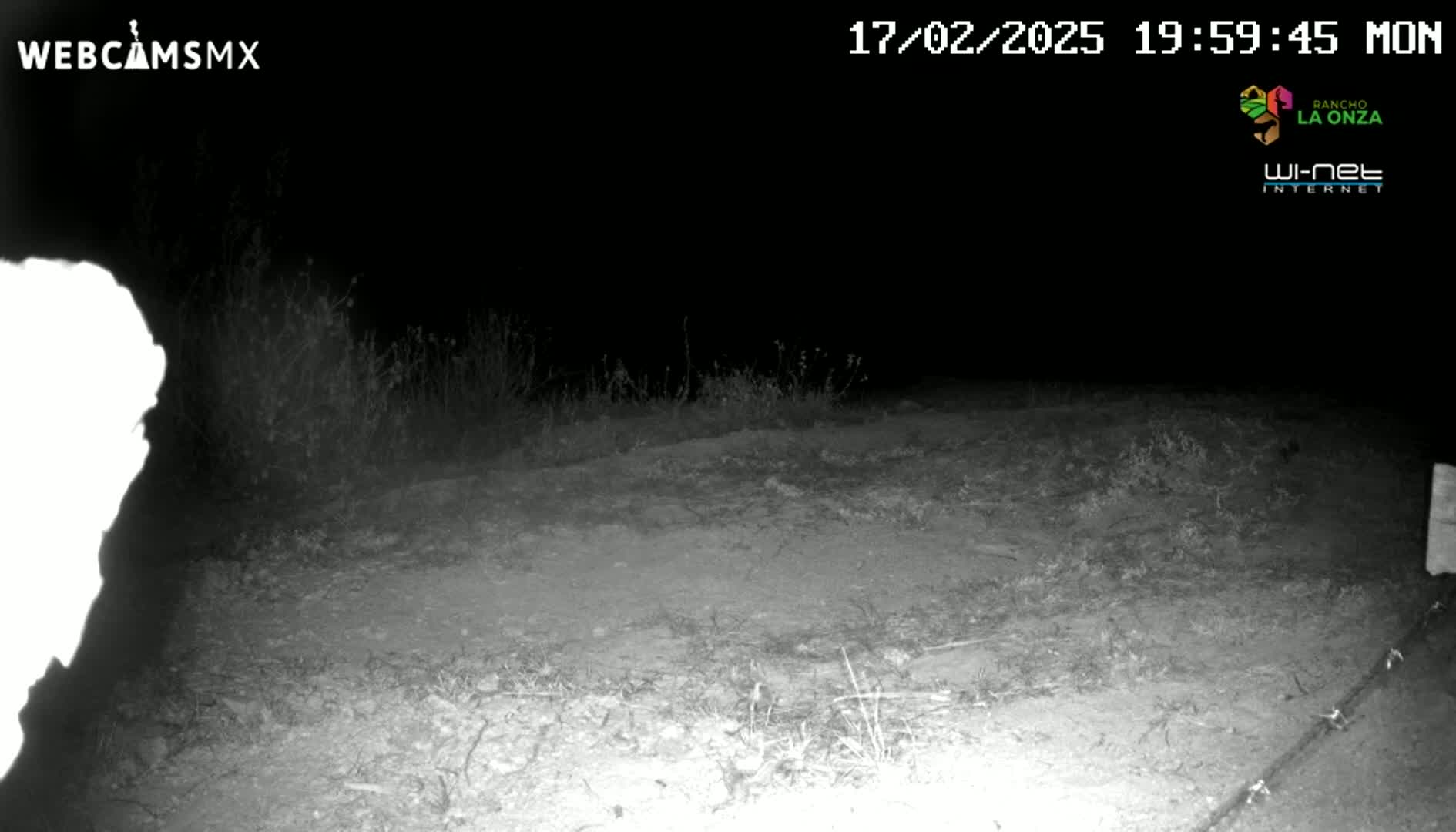 A nighttime, infrared image shows a dirt road or path bordered by sparse vegetation.