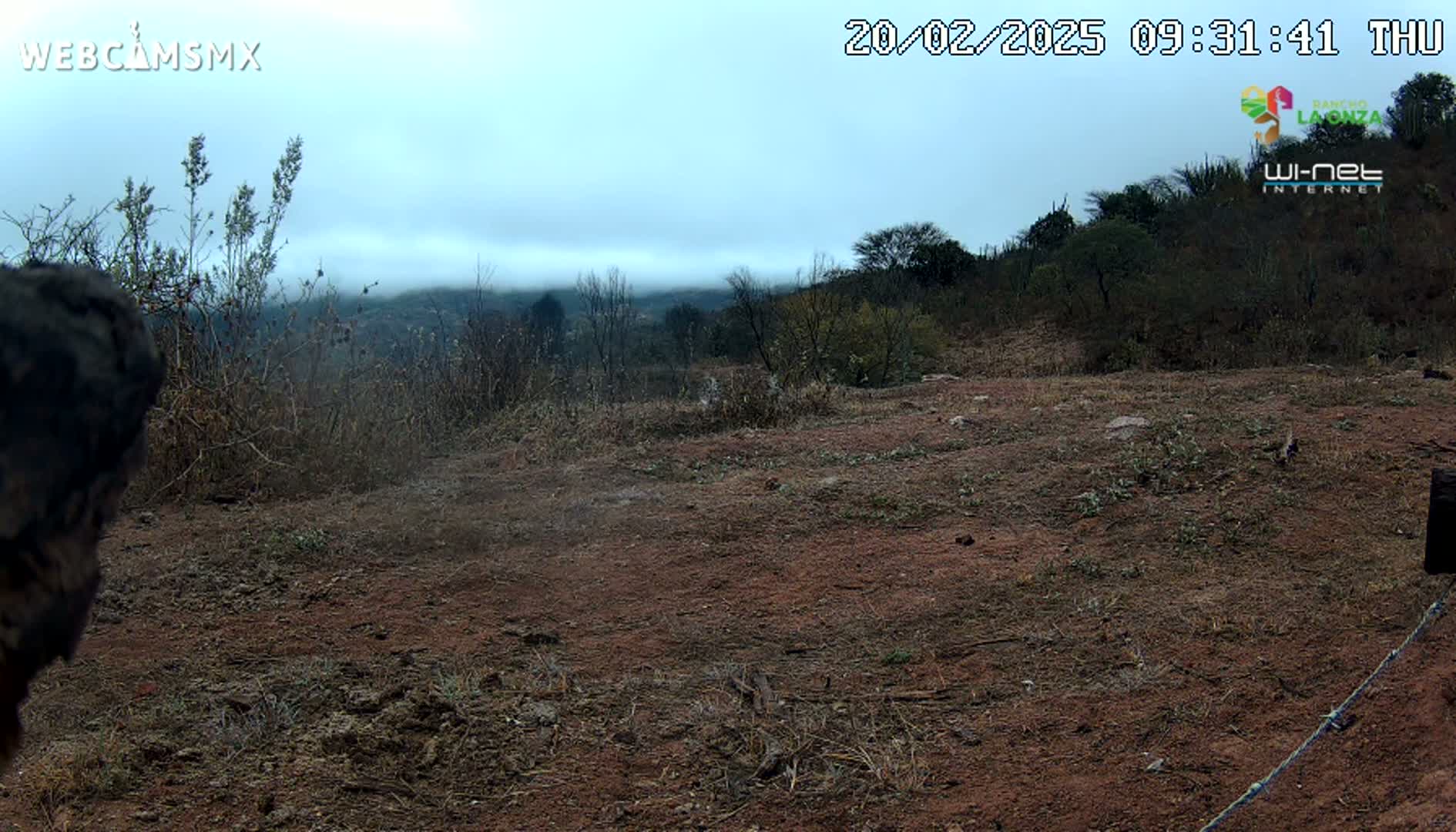 A mostly barren, reddish-brown dirt field stretches toward a hazy, tree-covered hillside under an overcast sky.
