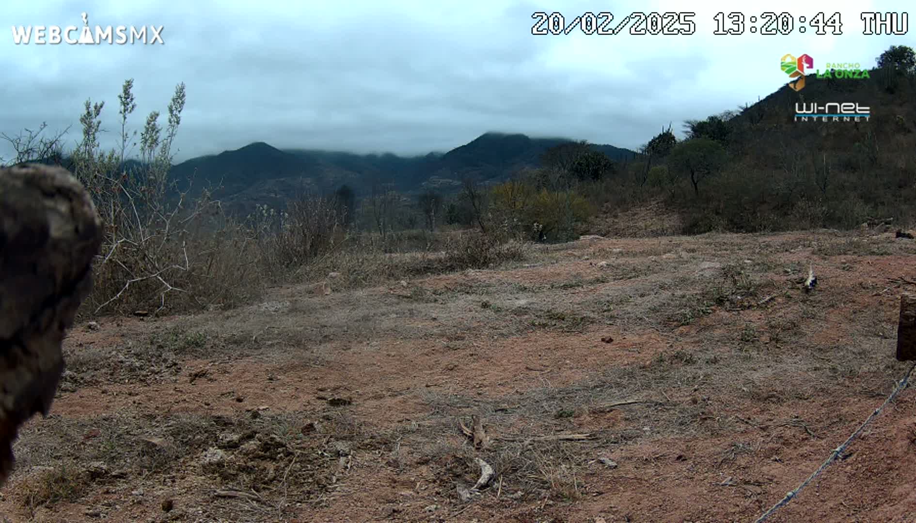 A mostly barren, reddish-brown dirt area with sparse, dry brush and distant, hazy mountains under a cloudy sky.