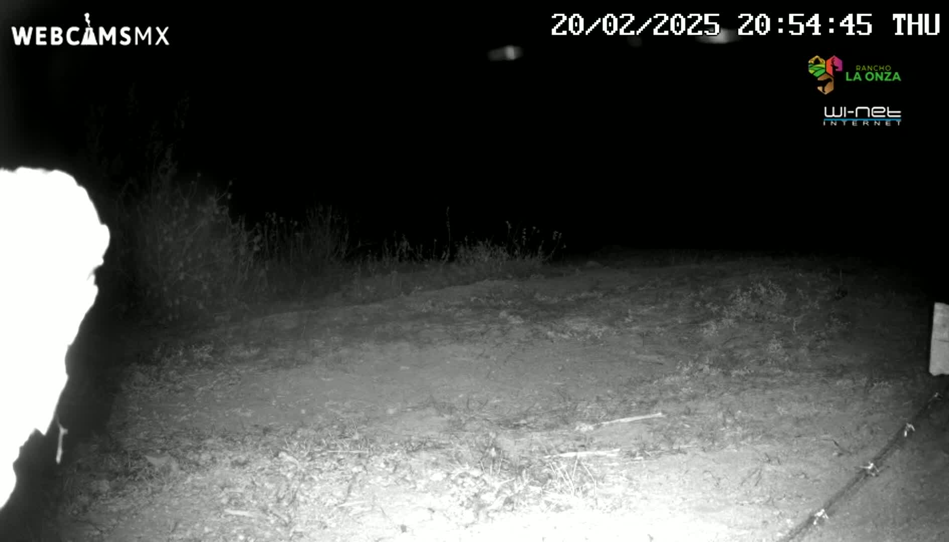 A nighttime, grainy, black and white image shows a dirt path or road bordered by low vegetation under a dark sky.