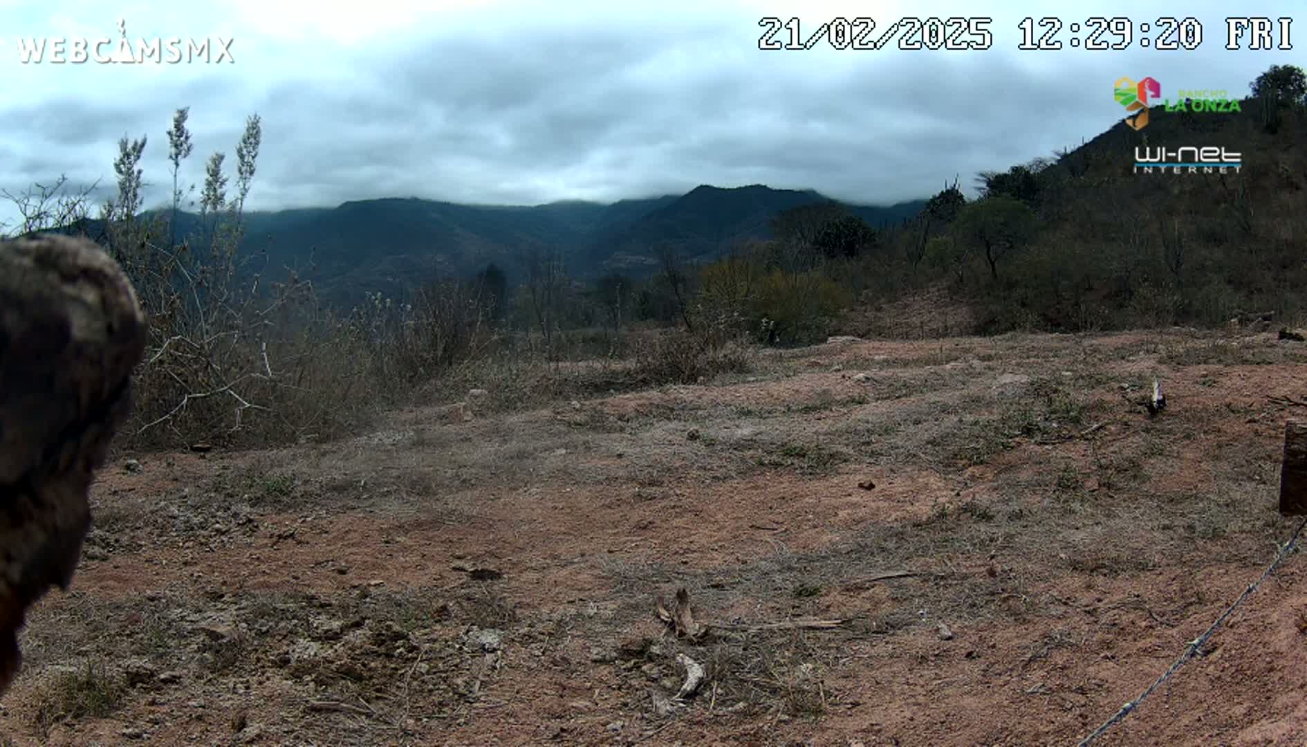 A mostly barren, reddish-brown dirt area with sparse, dry vegetation in the foreground, overlooking a range of dark-green mountains under a cloudy sky.