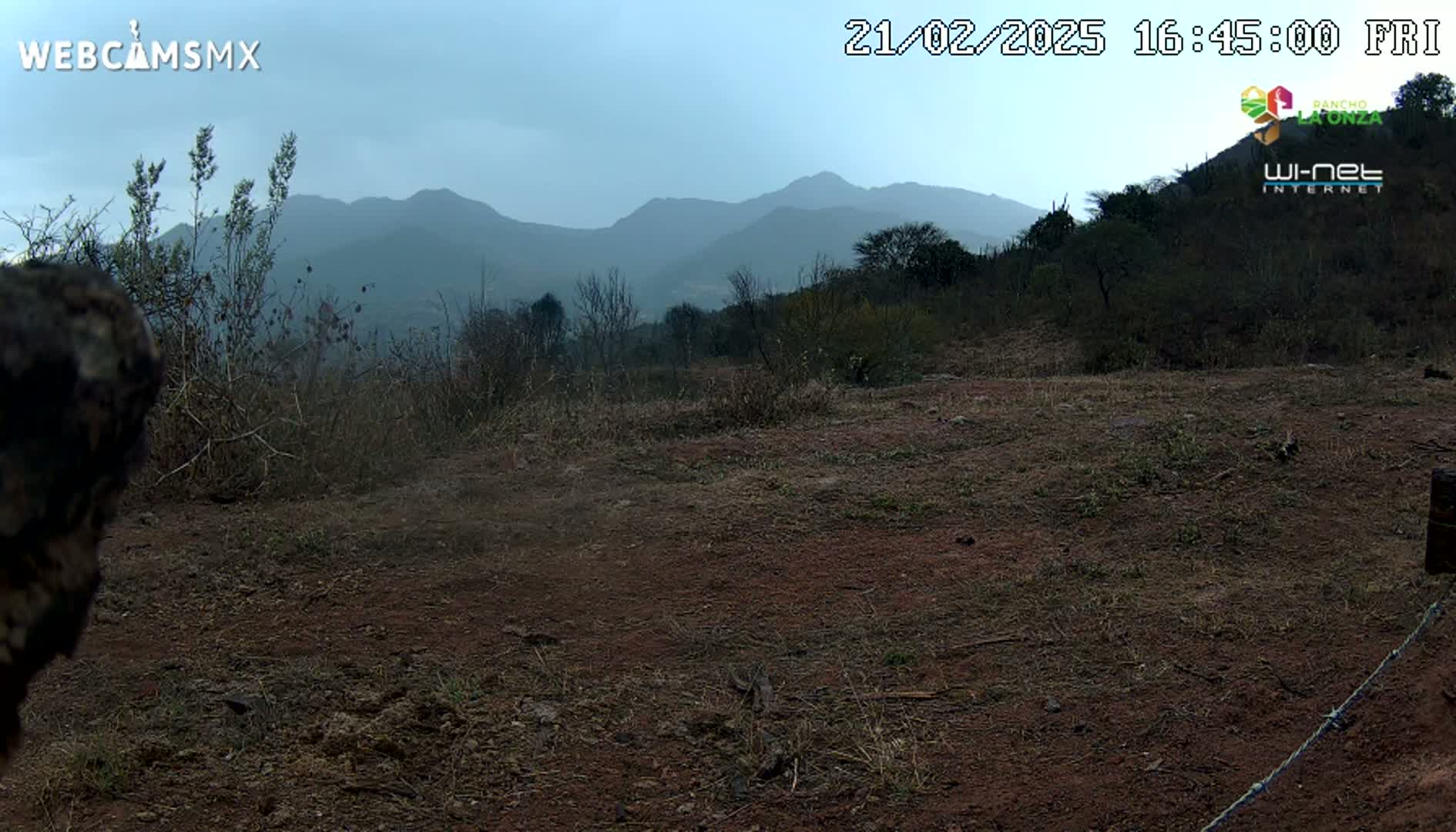 A mostly barren, reddish-brown dirt patch is seen in the foreground, with dry brush and distant hazy mountains under a cloudy sky.