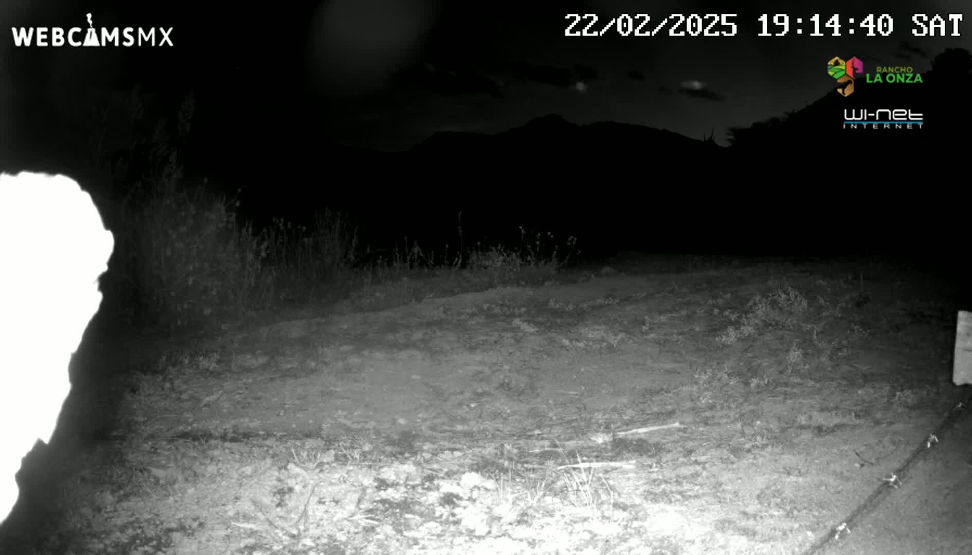 A nighttime, low-light image shows a dirt area with sparse vegetation in front of a dark mountain range under a mostly clear sky.