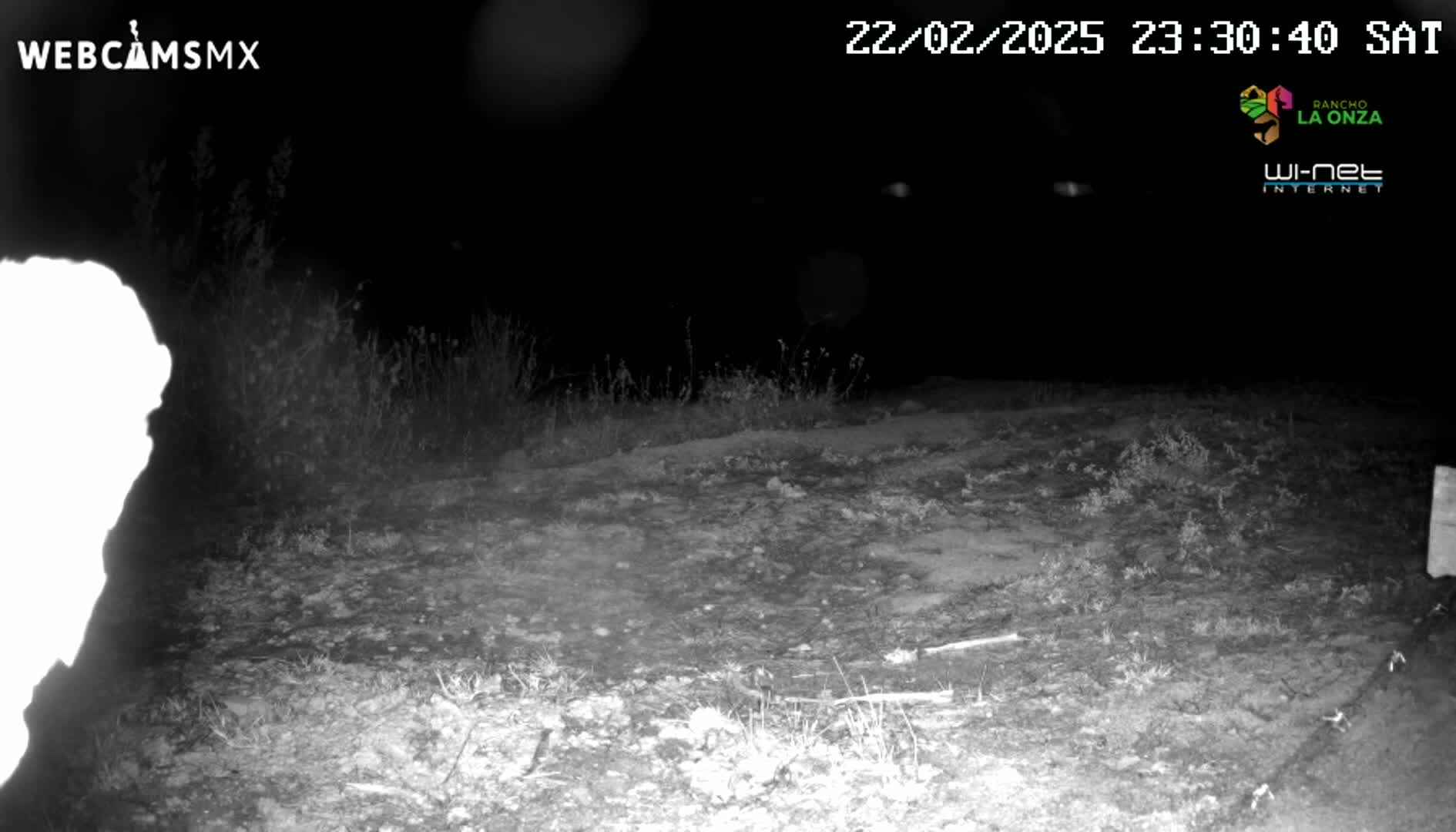 A nighttime, infrared image shows a dirt path bordered by sparse vegetation, with a bright, overexposed object to the left.