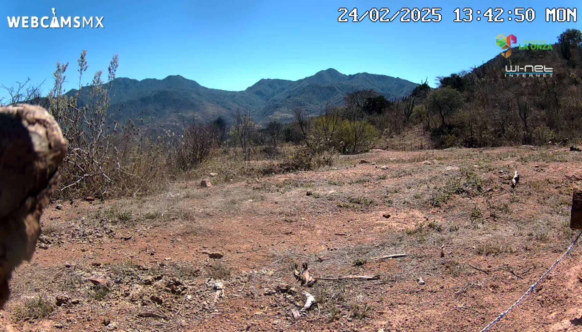 A dry, reddish-brown dirt field with sparse vegetation stretches toward a range of mountains under a clear blue sky.