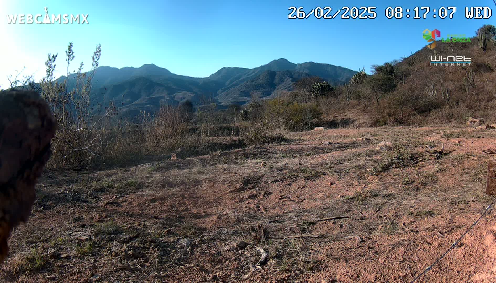 A dry, reddish-brown dirt field with sparse, dry brush and distant mountains under a clear blue sky.