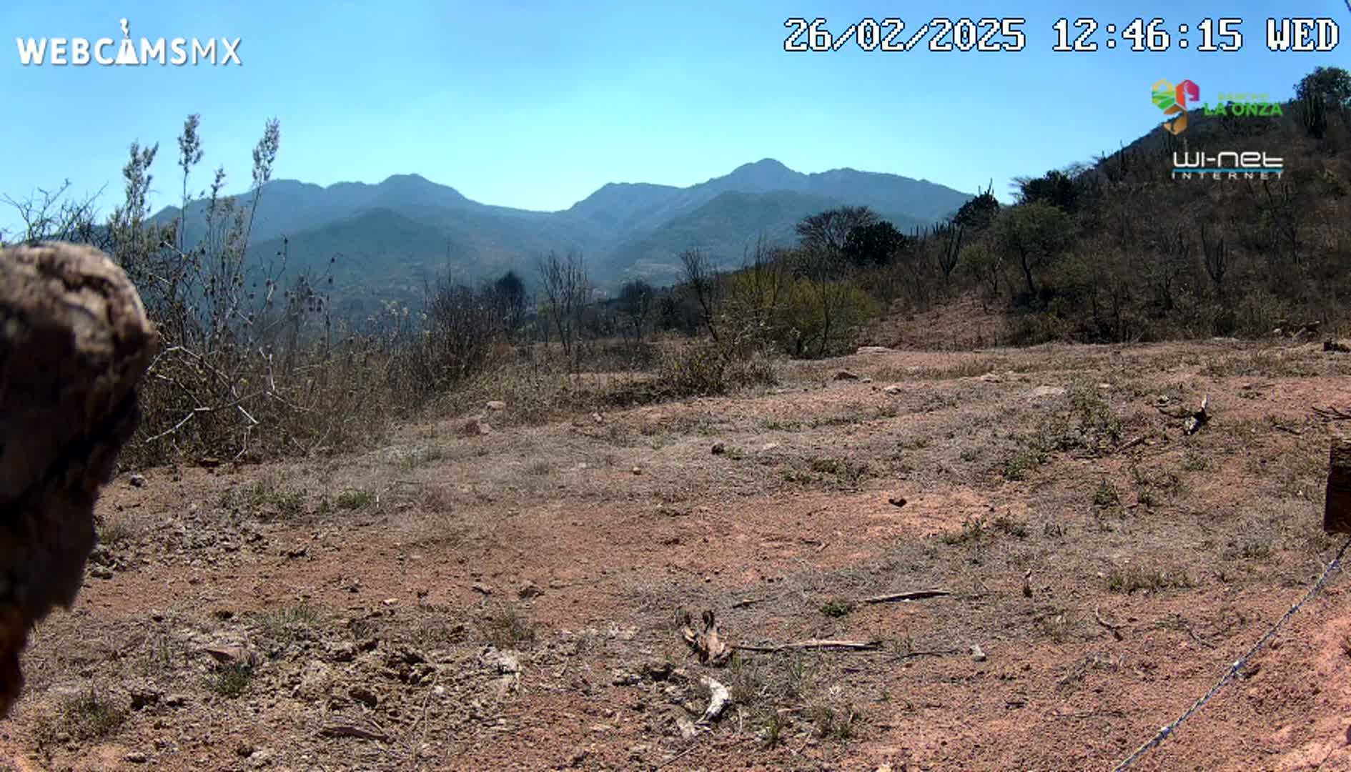 A dry, reddish-brown dirt field with sparse, dry vegetation stretches toward a range of distant, hazy mountains under a clear blue sky.