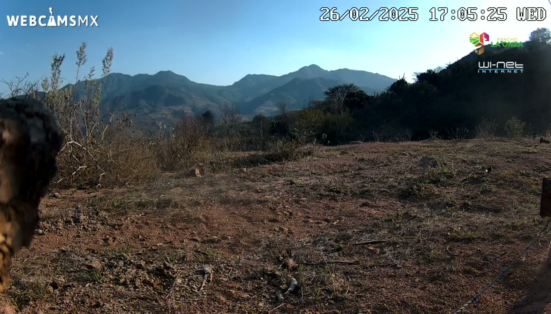 A dry, brown landscape with sparse vegetation in the foreground stretches toward distant mountains under a clear blue sky.