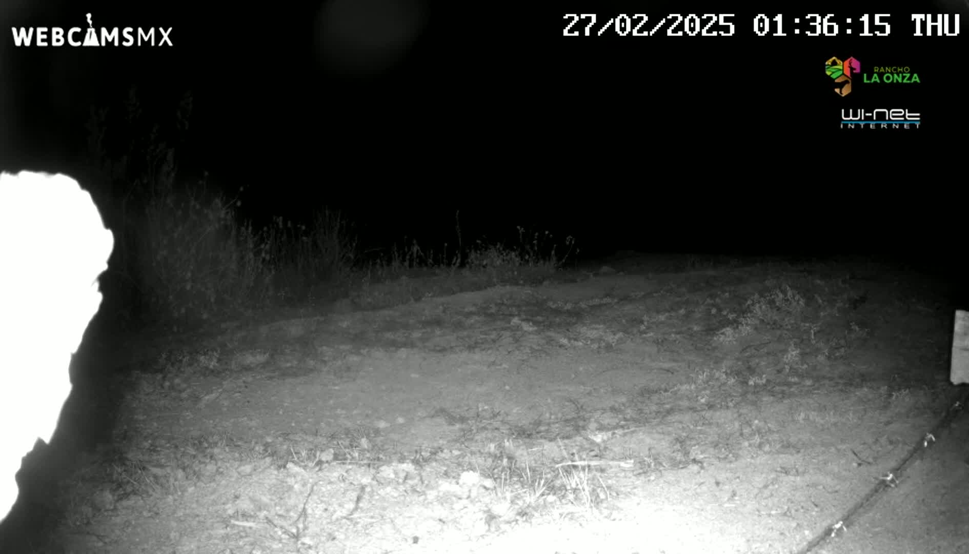 A nighttime, low-light image shows a dirt path bordered by sparse vegetation.