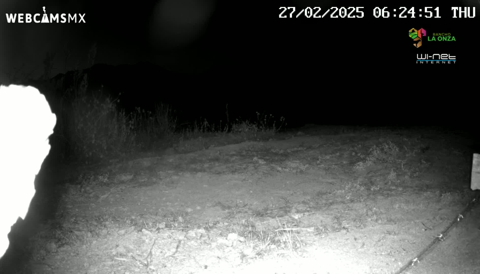 A nighttime, low-light image shows a dirt path bordered by sparse vegetation.
