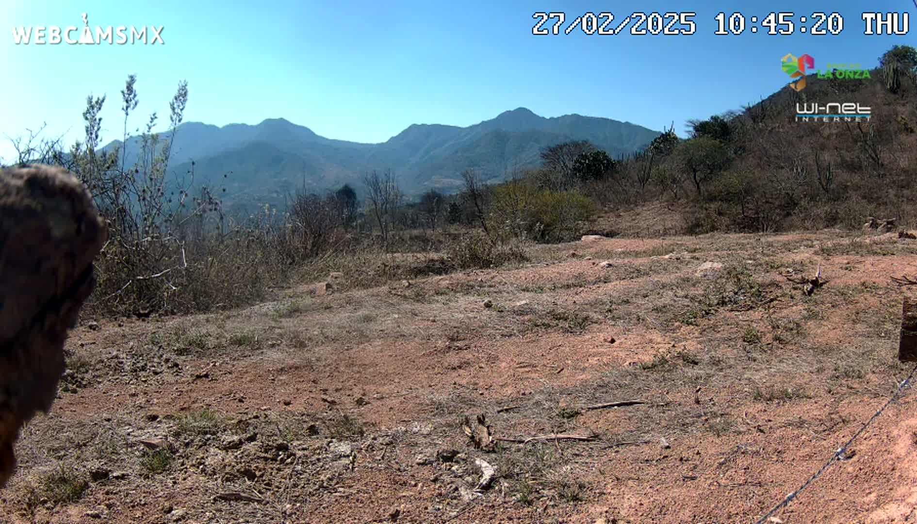A mostly barren, reddish-brown dirt patch with sparse, dry brush and distant mountains under a clear blue sky.