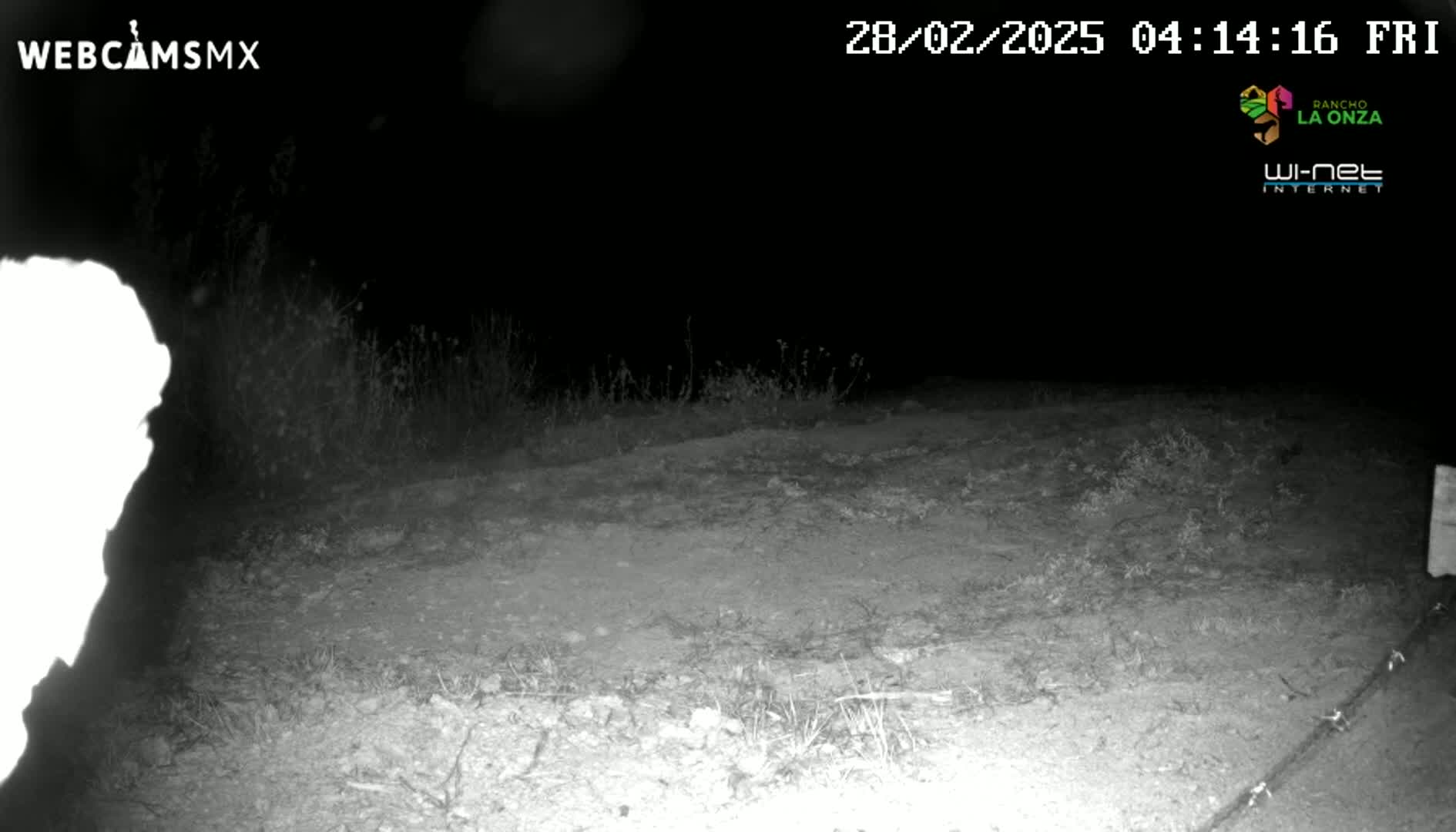 A nighttime, low-light image shows a dirt area with sparse vegetation, possibly a road or path, under a dark sky.