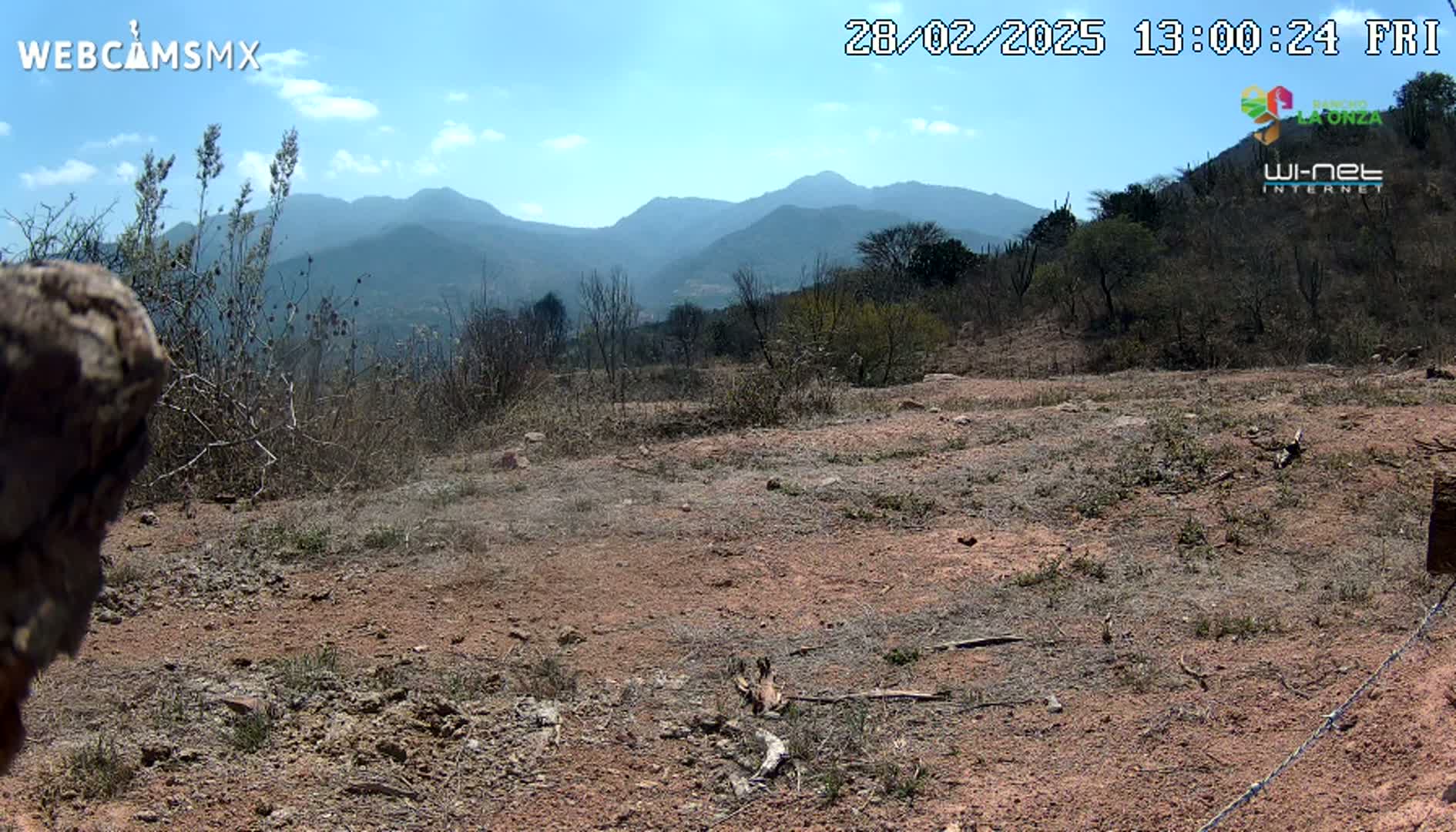 A mostly barren, reddish-brown dirt landscape with sparse, dry brush and distant mountains under a mostly clear, sunny sky.