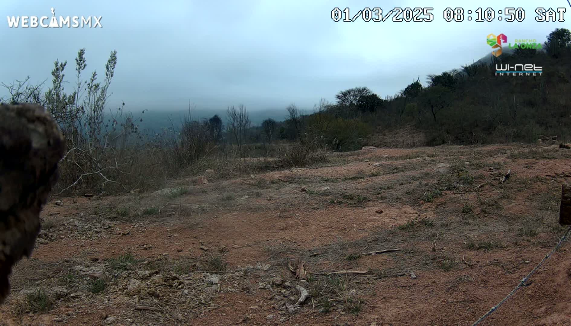 A dry, dusty, reddish-brown dirt area with sparse, dry brush and distant trees under an overcast sky.