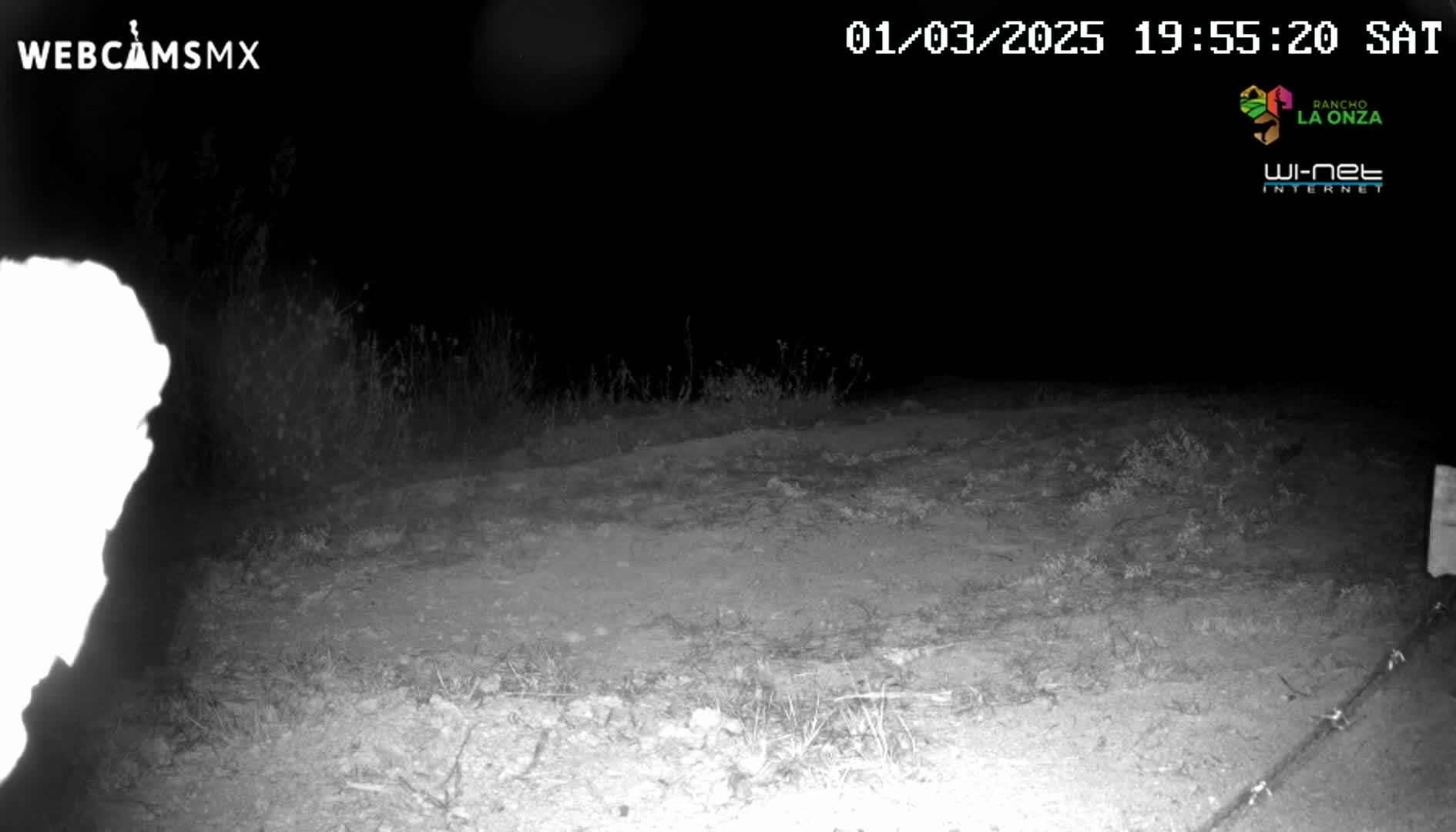 A nighttime, low-light image shows a dirt path bordered by sparse vegetation under a dark sky.