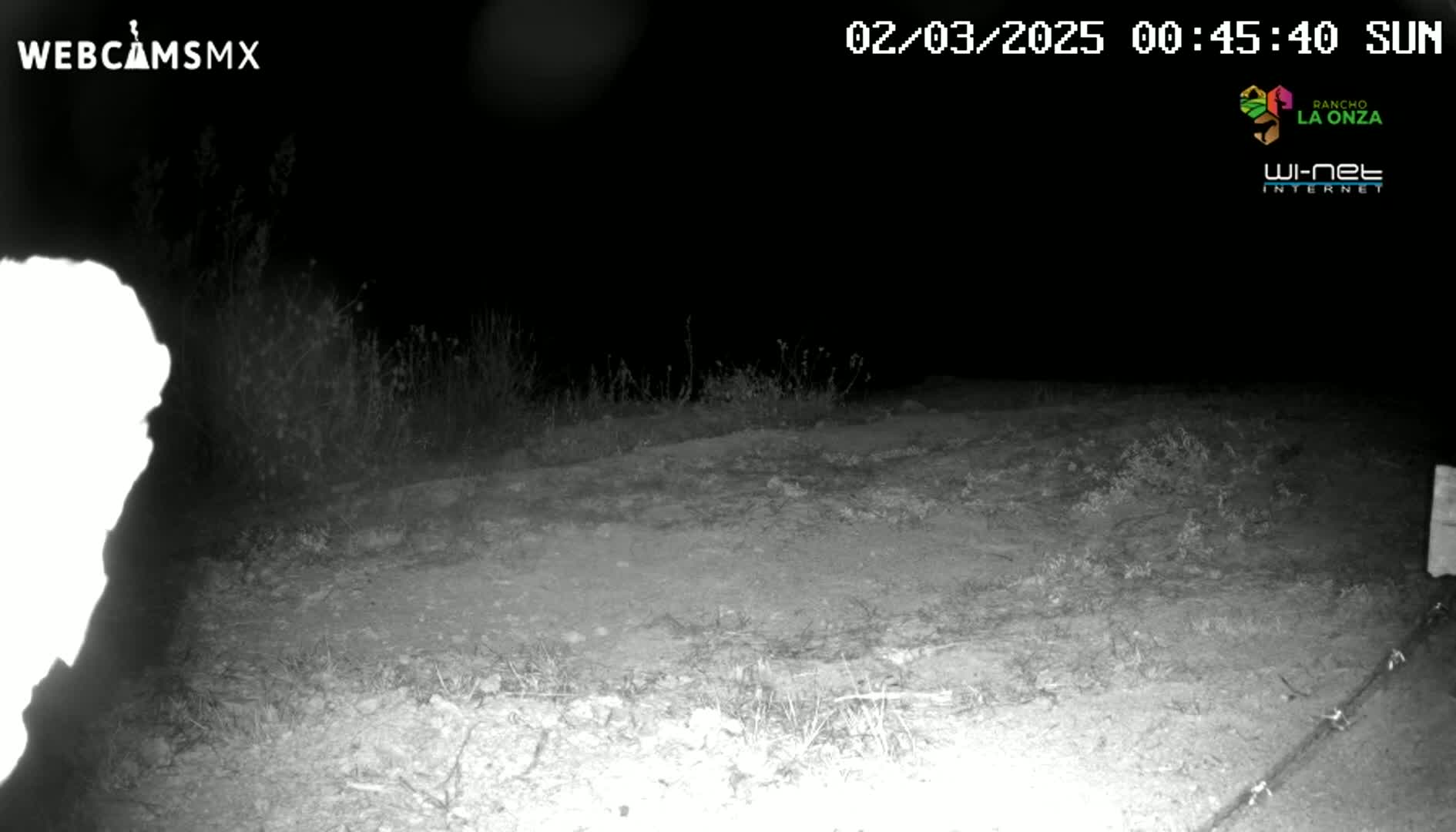 A nighttime, low-light image shows a dirt path bordered by sparse vegetation under a clear, dark sky.