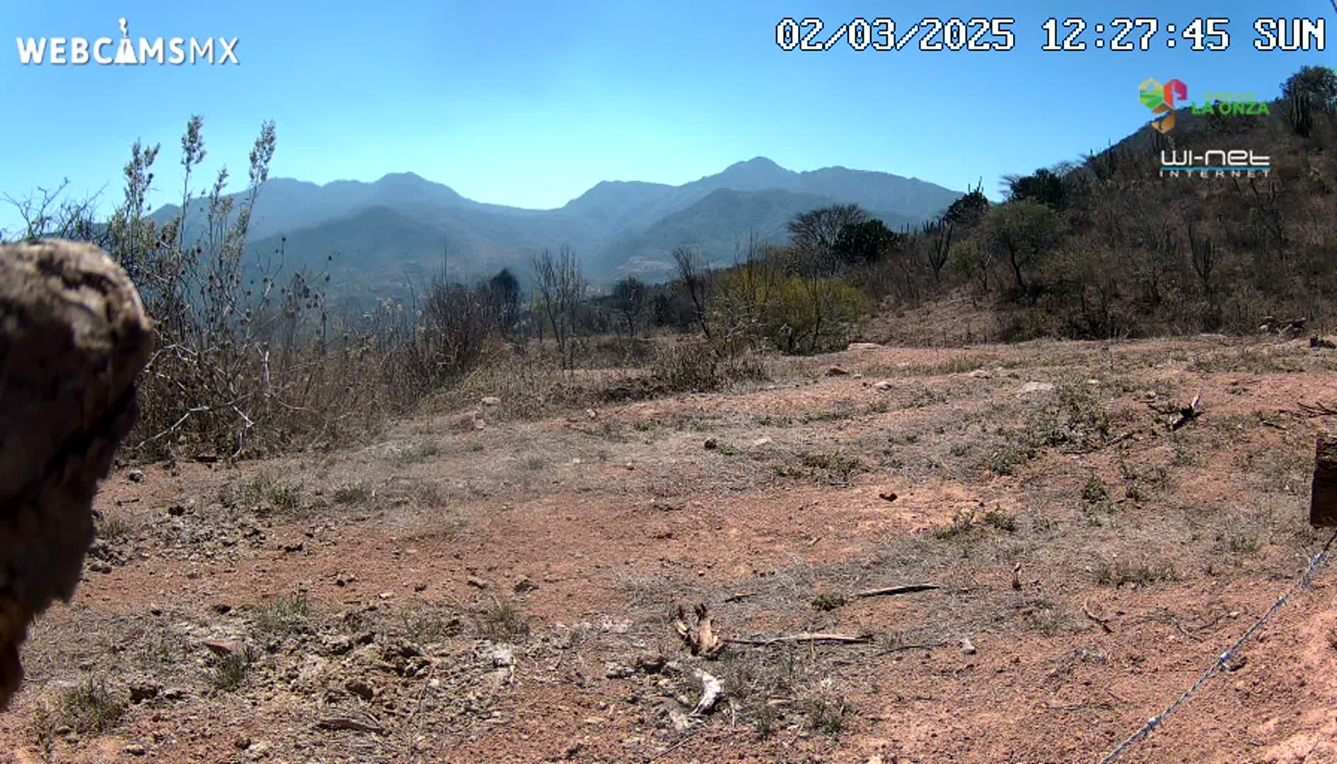 A dry, reddish-brown dirt area with sparse, dry brush and distant mountains under a clear blue sky.