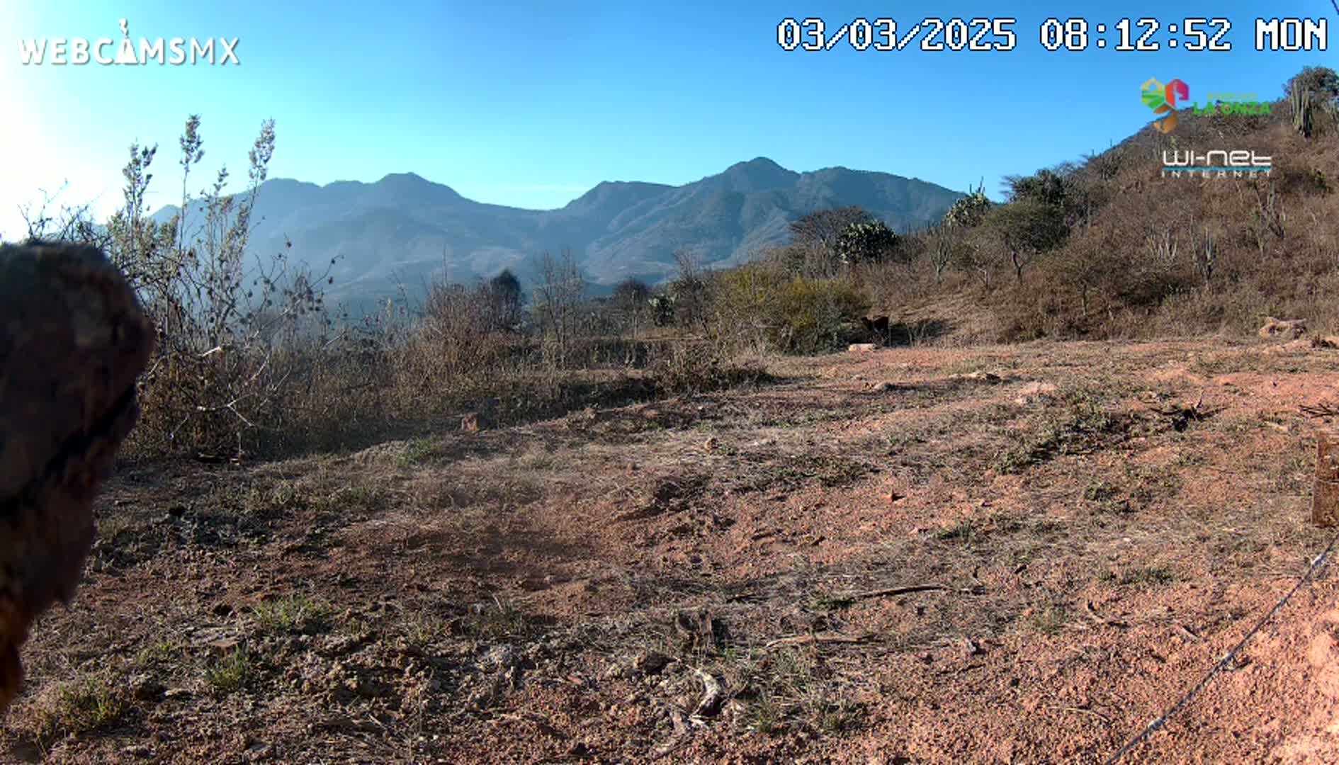 A mostly barren, reddish-brown dirt patch stretches out before a backdrop of mountains under a clear blue sky.