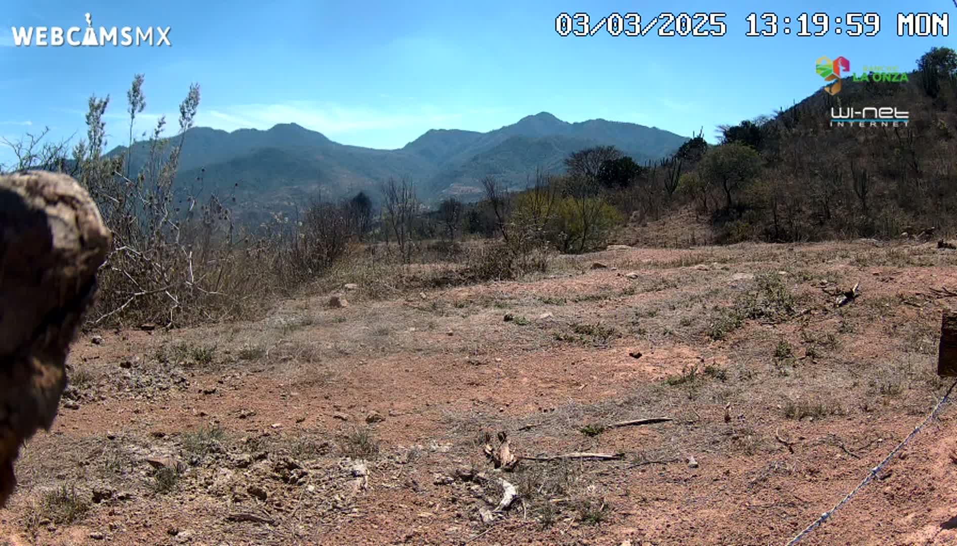 A dry, reddish-brown dirt field with sparse, dry brush and a mountain range in the background under a clear blue sky.